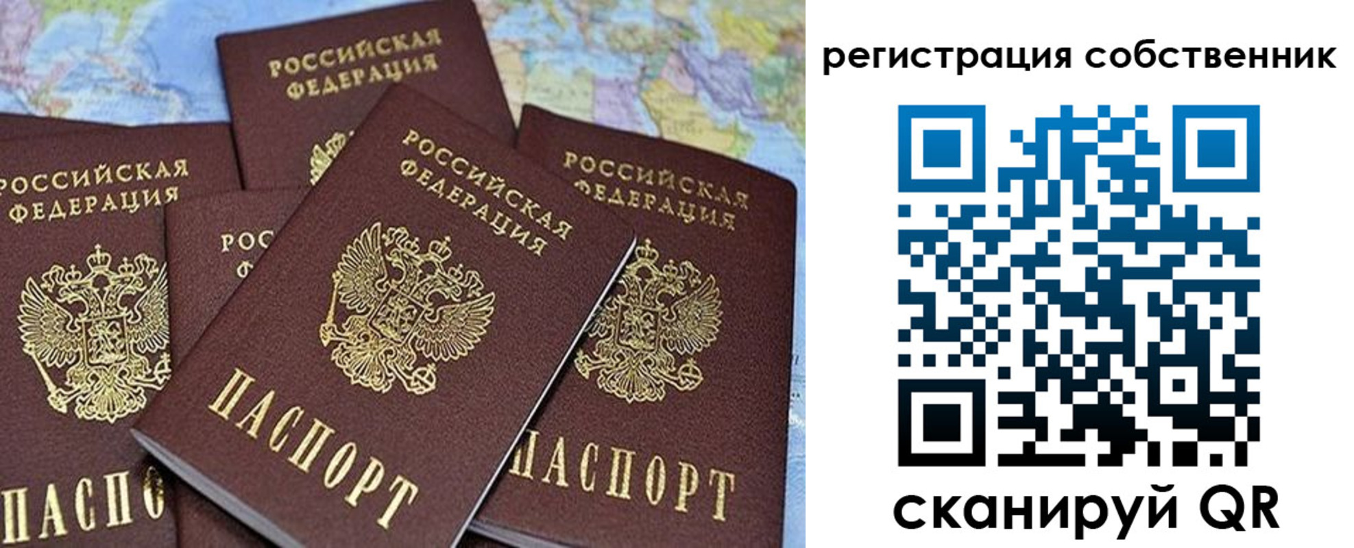прописка для школы в Кандалакше